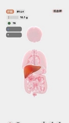 生命人体模拟器游戏纯净版图1