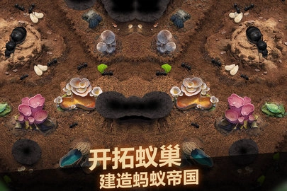 小小蚁国最新版游戏下载