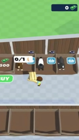 马厩生活(Stables Life)(3)