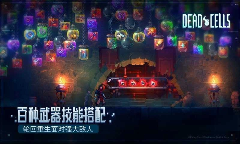 死亡细胞游戏纯净版图3