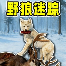 模拟狼生存