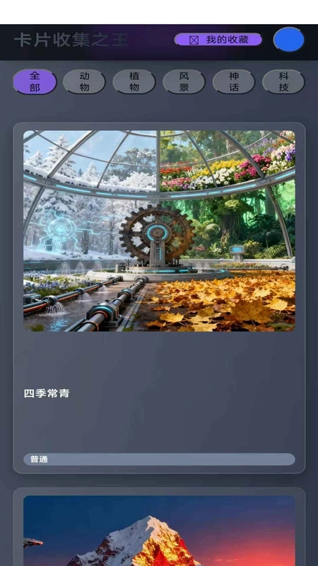 卡片收集之王游戏最新版(5)