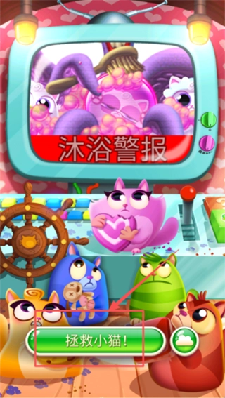救救这些馋猫