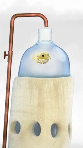 行走的老鲸鱼(Flewn)官方最新版图5