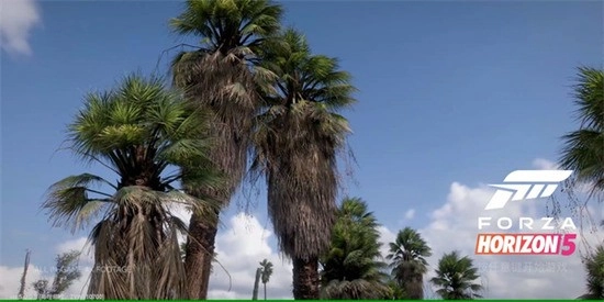 极限竞速地平线5联机图2