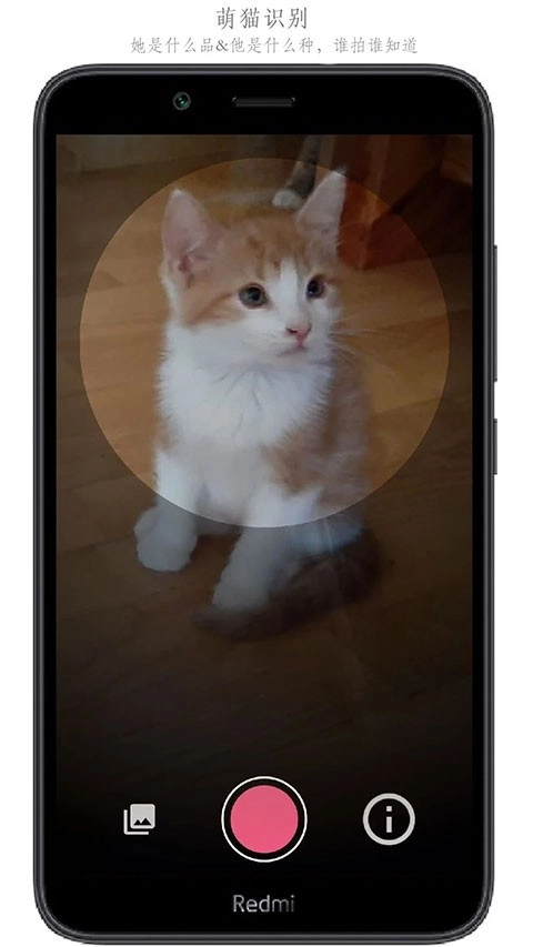 万物识别安卓版图3