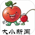 大小新闻中文版