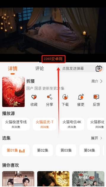 火猫影视正版图1