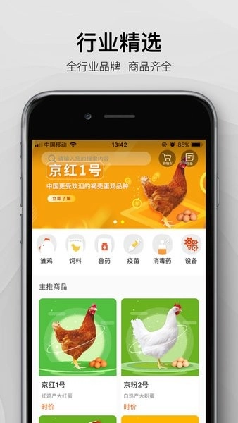 智慧蛋鸡超市