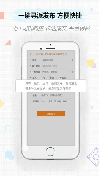 集运通双背网