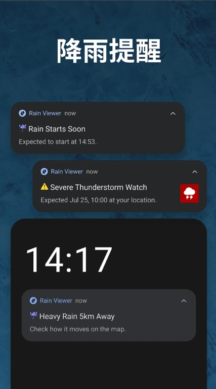 rainviewer天气解锁会员版图3