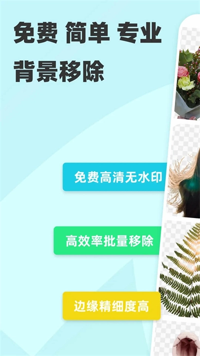 椰子背景移除工具