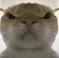 三角洲行动鼠鼠工具