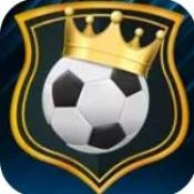 足球大亨2中文版