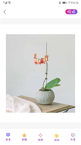 PROMOVIE专业摄像机老版图1