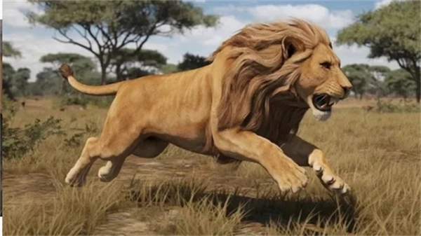 动物模拟狩猎免广告版图2