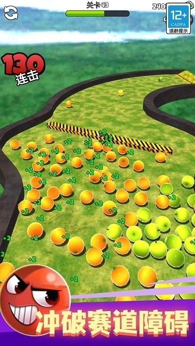 球生之路图2