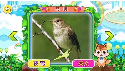 宝宝儿童动物世界图3