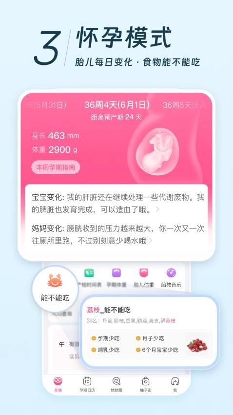 美柚最新版图3