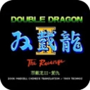双截龙2 v4.9.9.6