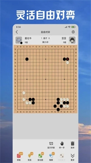 星阵围棋手机版图1
