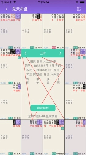 紫微斗数排盘图2