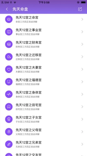 紫微斗数排盘图1