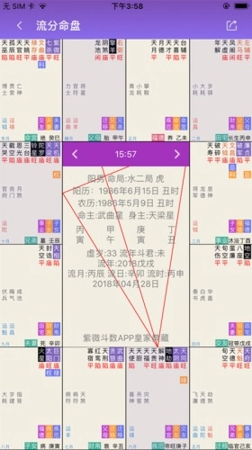 紫微斗数排盘图3
