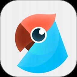 有道翻译官手机版