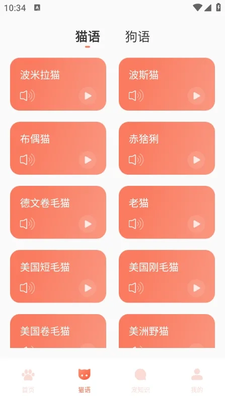 Peppy Cat最新安卓版(2)