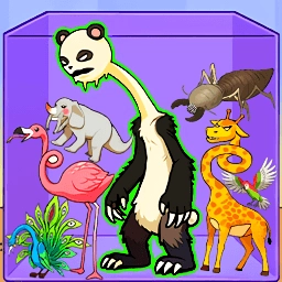 合成超有趣安装