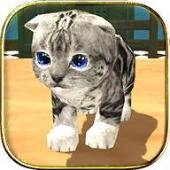 猫猫模拟器