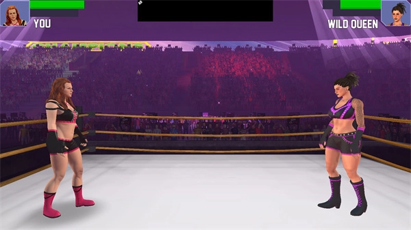美女摔跤模拟器全人物图4