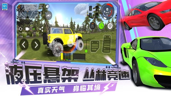 疯狂赛车手3D