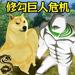 修狗三角行动