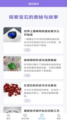 宝石家族图3
