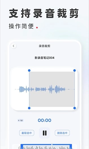录音转文字最新版-图4