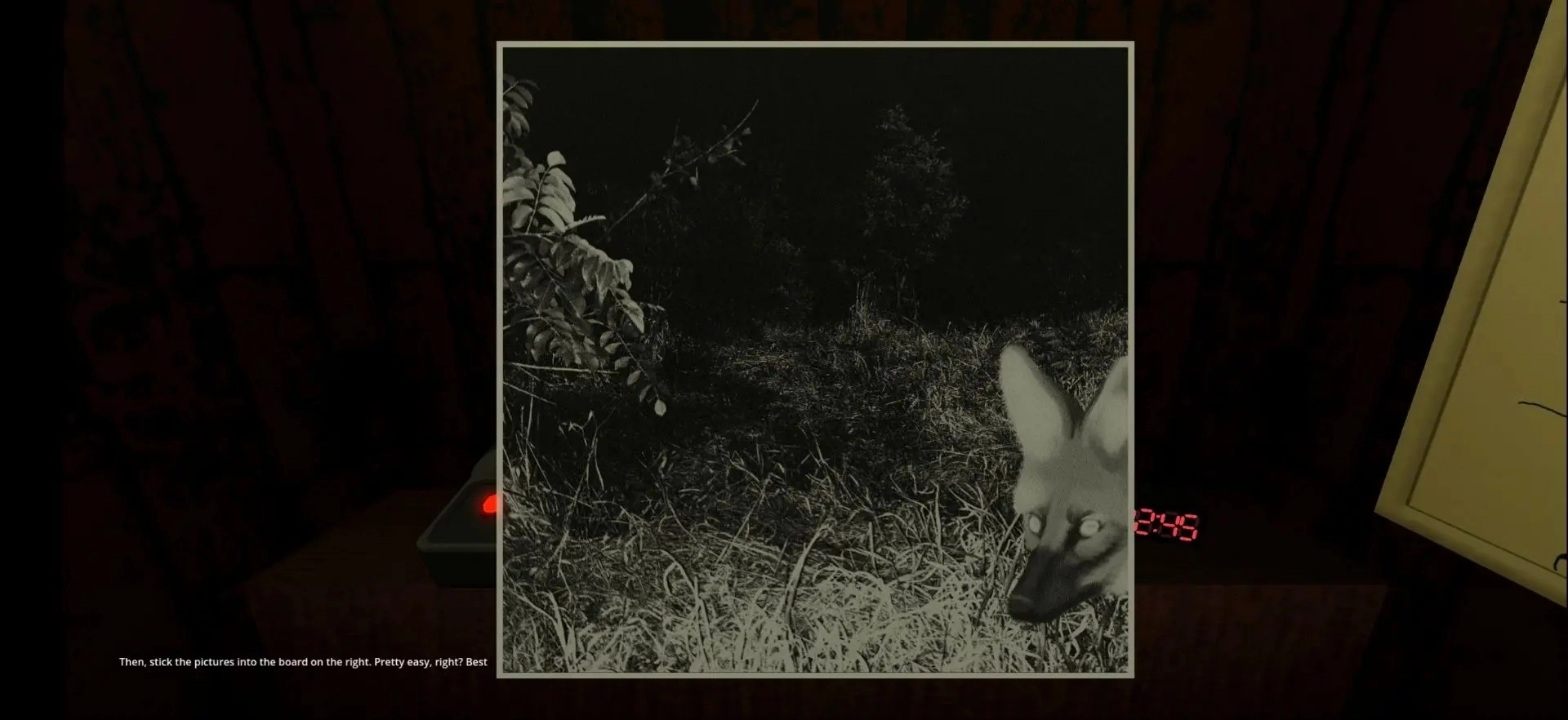 动物观察员游戏