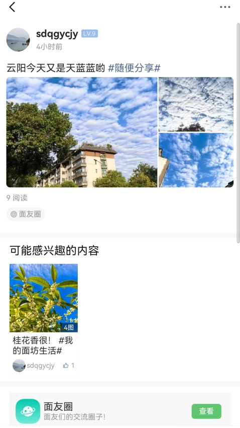 重慶鮮面條截圖2