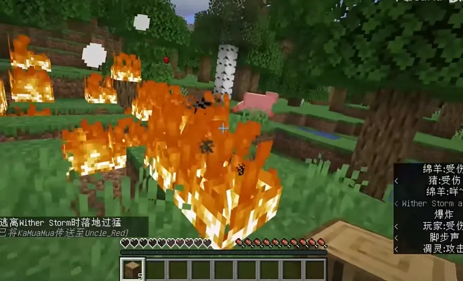 我的世界凋零风暴模组(沙盒生存)  游戏最新版图4