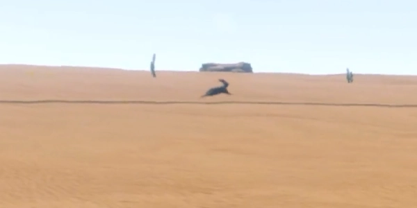 长途旅行2主播同款