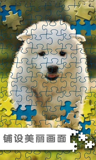 拼图挑战图3