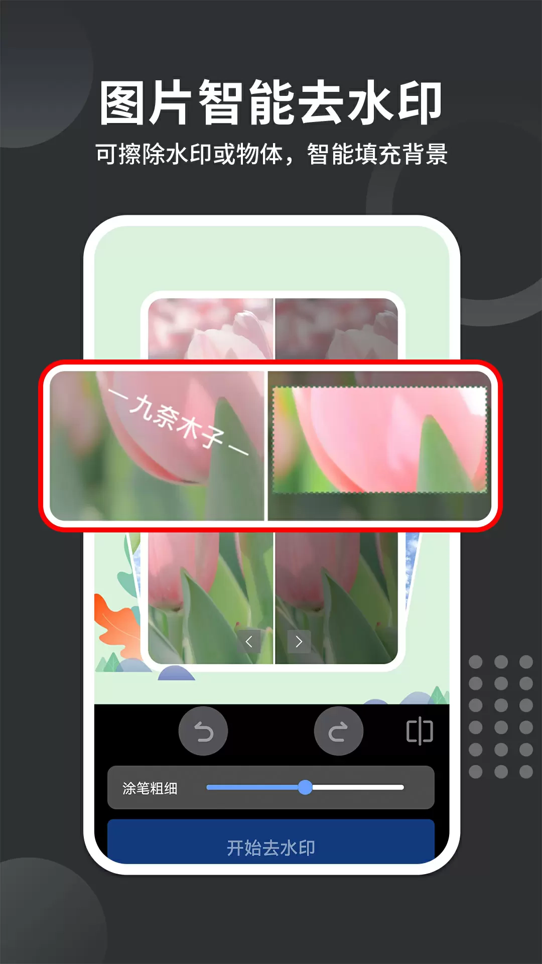 免费去水印大师正式版