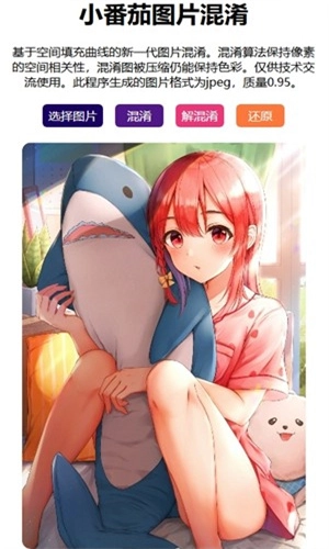 小番茄解混淆工具图2