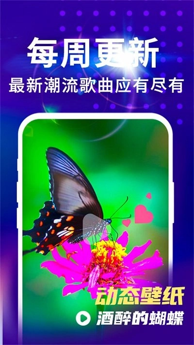 来电视频铃声图1