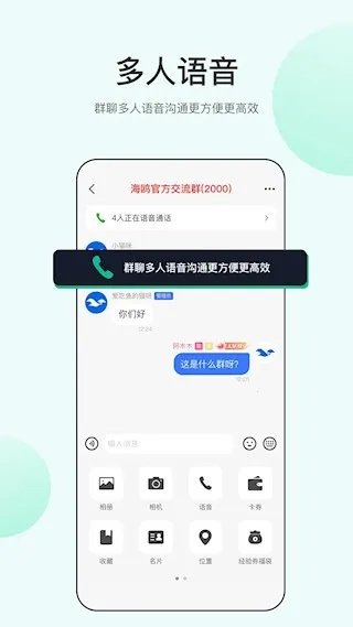 海鸥2026  安卓版