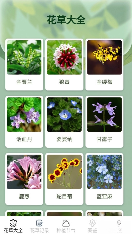 花草趣享图2