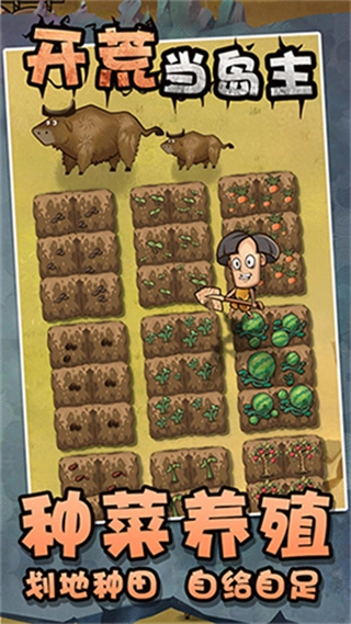 開荒當(dāng)島主免廣告版圖3