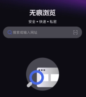 Velo浏览器原版图3