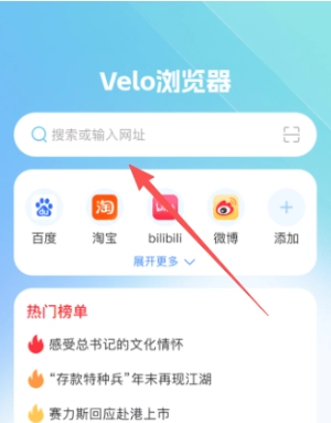 Velo浏览器原版图1